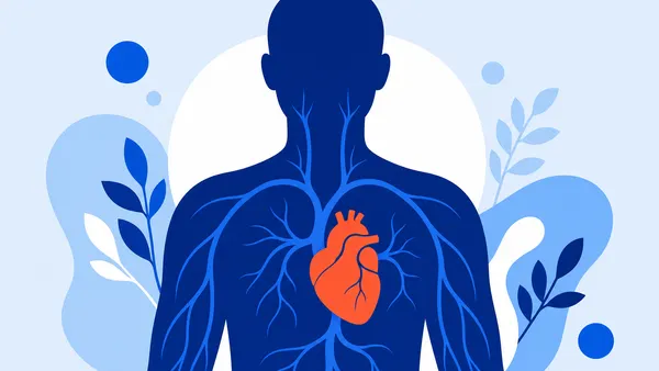 Human silhouette with a stylized heart and arteries